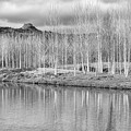 Reflections of the Ter in Torello - CR2012-4189-BW